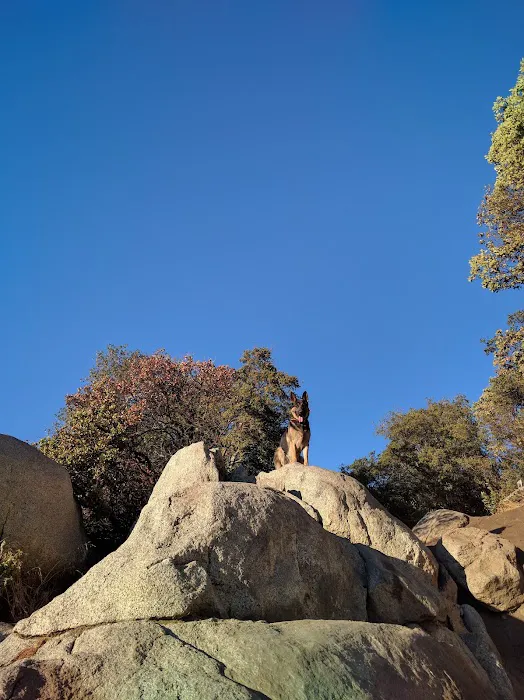 Corral Canyon Campground Picture 9
