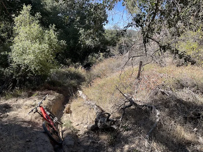 Corral Canyon Campground Picture 10