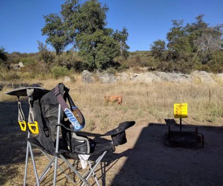 Bobcat Meadow Campground