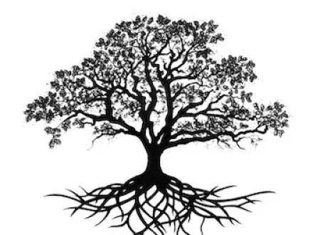Oak Branch RV Park