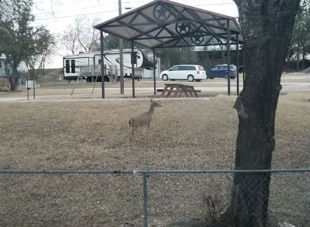 Cove RV Park