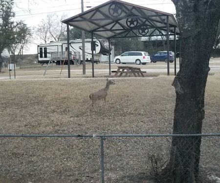 Cove RV Park