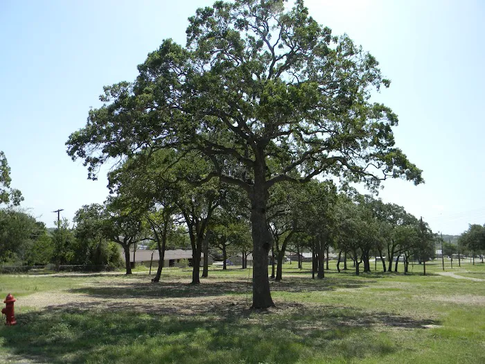 Cove RV Park Picture 3
