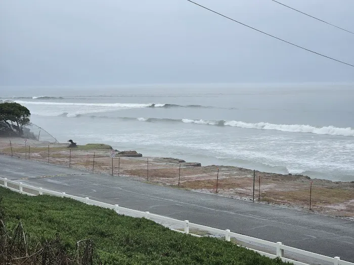 San Onofre Beach Campground Picture 4
