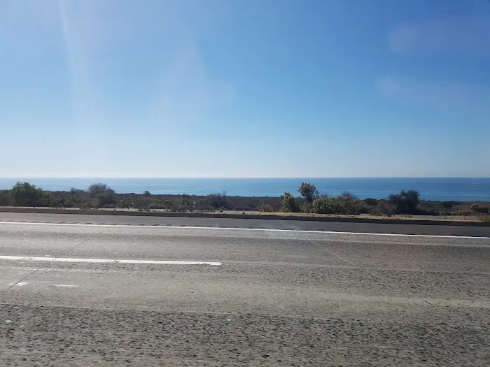 San Onofre Beach Campground Picture 7
