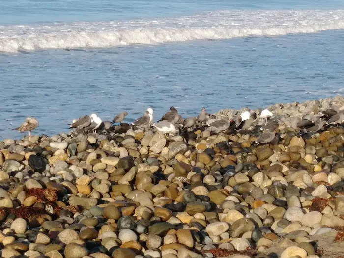 San Onofre Beach Campground Picture 9