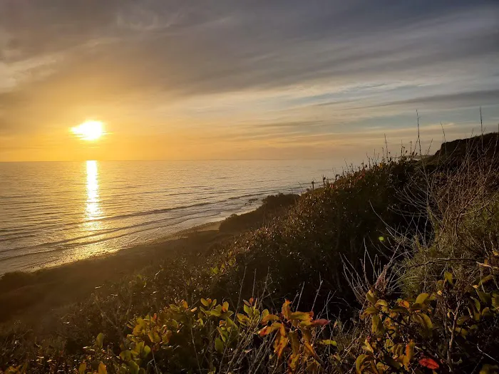 San Onofre Bluffs Campground Picture 3