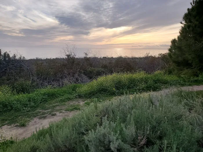 San Onofre Bluffs Campground Picture 4