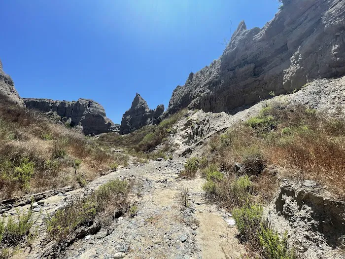 San Onofre Bluffs Campground Picture 9