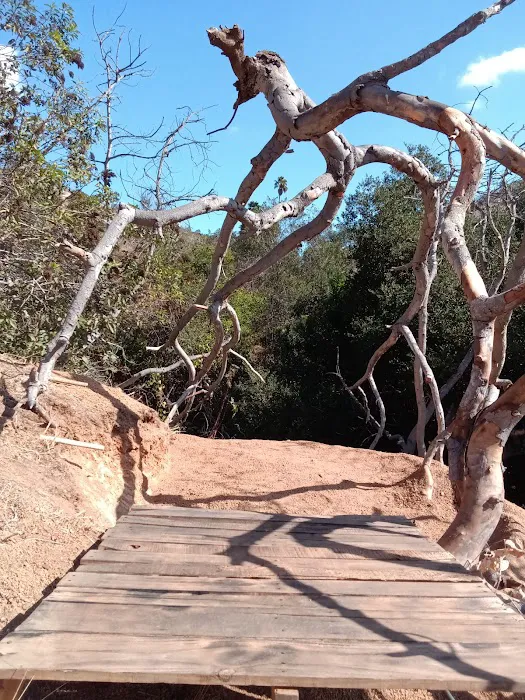 Detour N De Luz ~ private camping (previously Secluded Acres) Picture 1