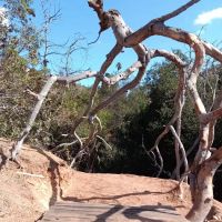 Detour N De Luz ~ private camping (previously Secluded Acres) ico