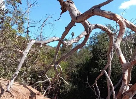 Detour N De Luz ~ private camping (previously Secluded Acres)