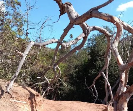 Detour N De Luz ~ private camping (previously Secluded Acres)