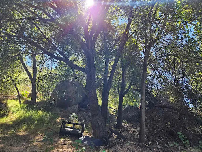 Detour N De Luz ~ private camping (previously Secluded Acres) Picture 7