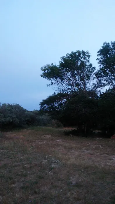 Gypsy Place RV Park Picture 4