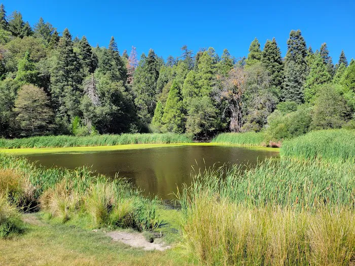 Doane Valley Campground Picture 4