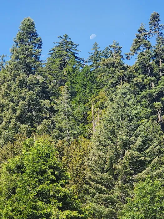Observatory Campground Picture 5