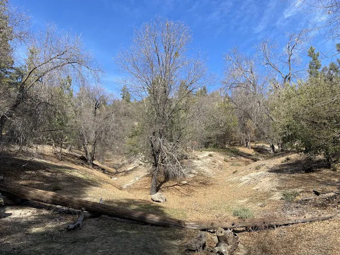 Observatory Campground Picture 8