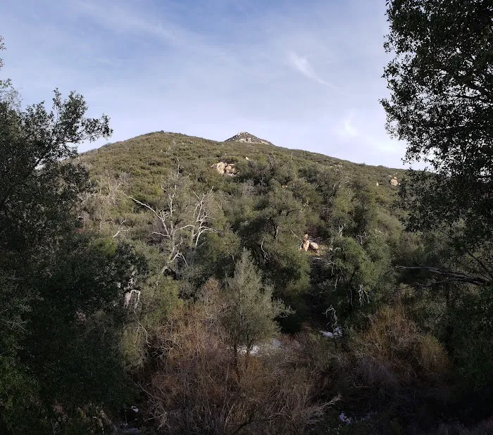 Thousand Trails Oakzanita Springs Picture 4