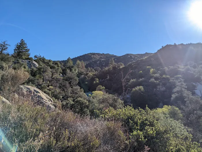 Green Valley Campground Picture 4