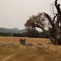 Green Valley Horse Camp ico