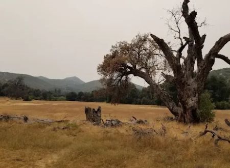 Green Valley Horse Camp