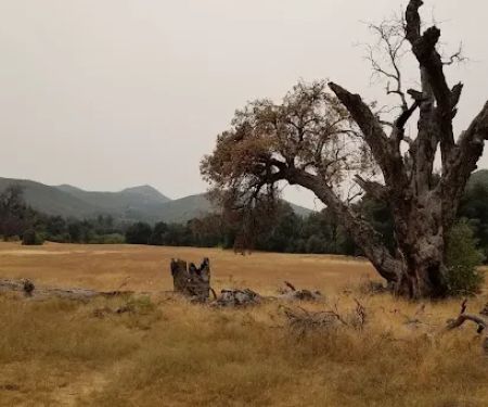 Green Valley Horse Camp