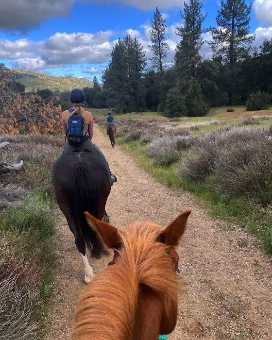 Green Valley Horse Camp Picture 2