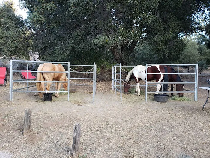 Green Valley Horse Camp Picture 3