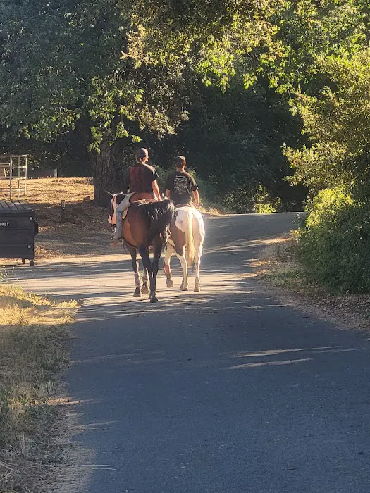 Green Valley Horse Camp Picture 6