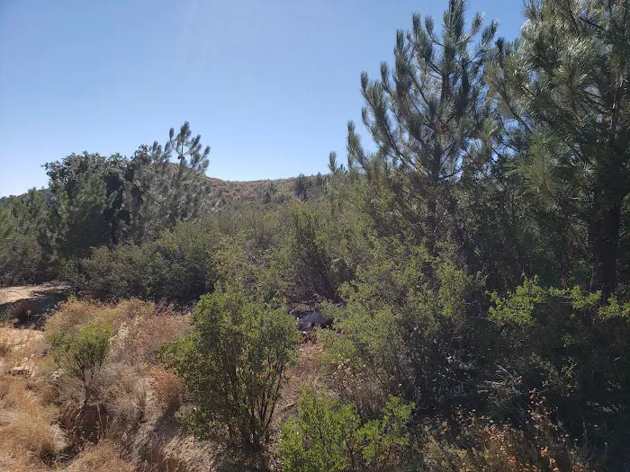 Green Valley Horse Camp Picture 4