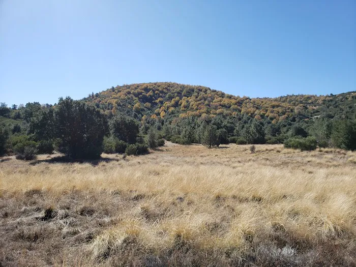 Green Valley Horse Camp Picture 10