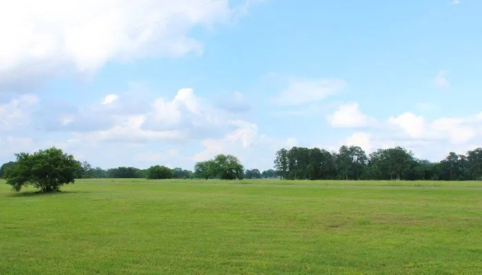 New Waverly RV Park Picture 3