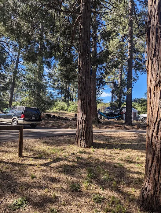 Paso Picacho Campground Picture 4