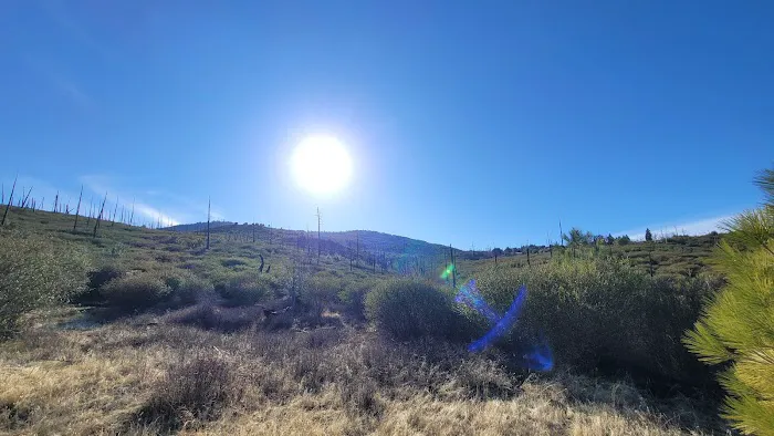 Paso Picacho Campground Picture 6