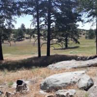 Los Vaqueros Group Horse Camp ico