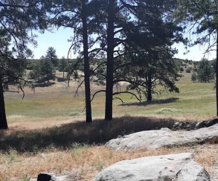 Los Vaqueros Group Horse Camp