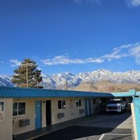 Lone Pine ico
