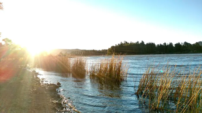 Lone Pine Picture 5