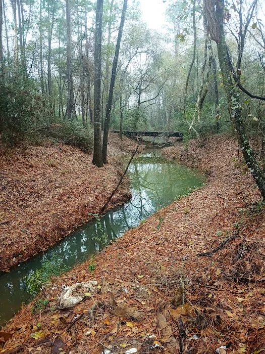 Magical Forest II RV Resort Picture 3