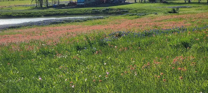 Texas Heritage RV Park Picture 9