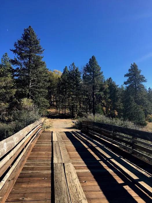 Lake Cuyamaca Recreation & Park Picture 7
