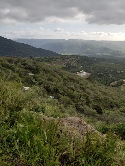 Henshaw Scenic Vista Picture 7