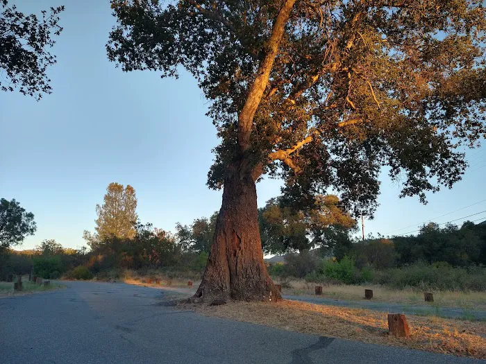 Oak Grove Campground Picture 6