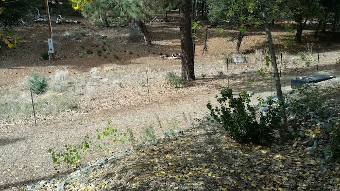 Pinezanita RV Park & Campgrounds Picture 5