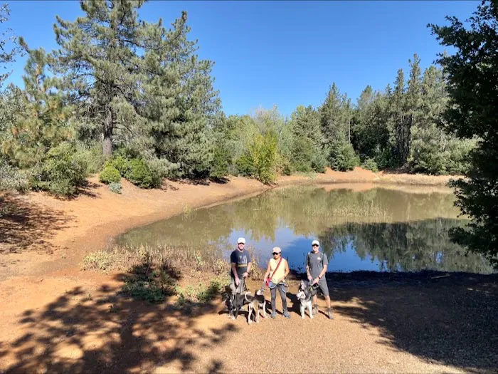 Pinezanita RV Park & Campgrounds Picture 7