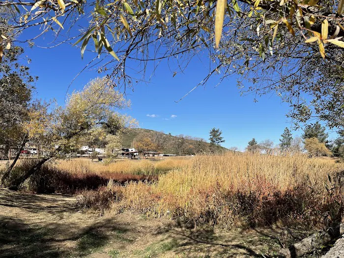 KQ Ranch RV Resort Picture 5