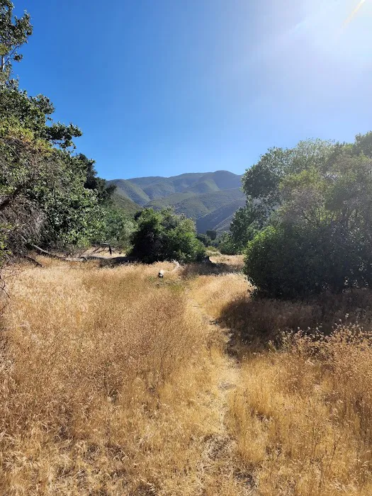 Banner Ranch Julian Picture 4