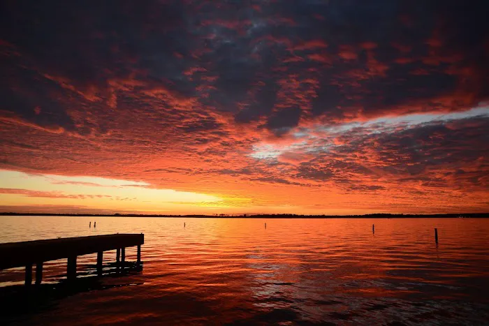 The Pines on Lake Conroe RV Park Picture 5