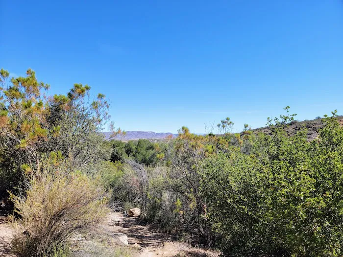 Dripping Springs Campground Picture 3